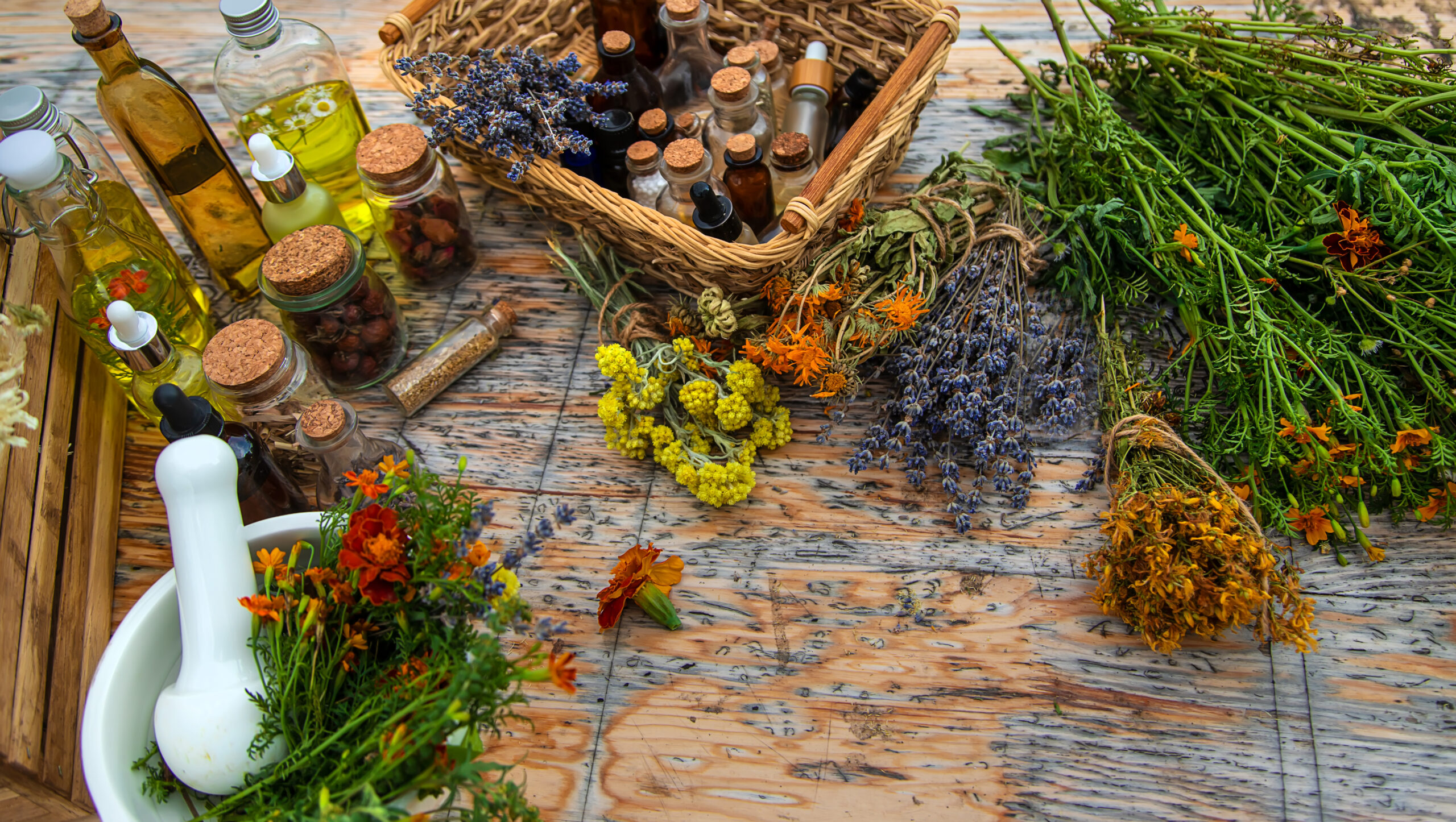 Medicinal Herbs Class