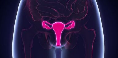 Where uterine cancer occurs in the human body.