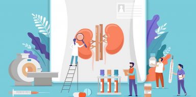 An illustration of doctors examining kidneys and doing tests.